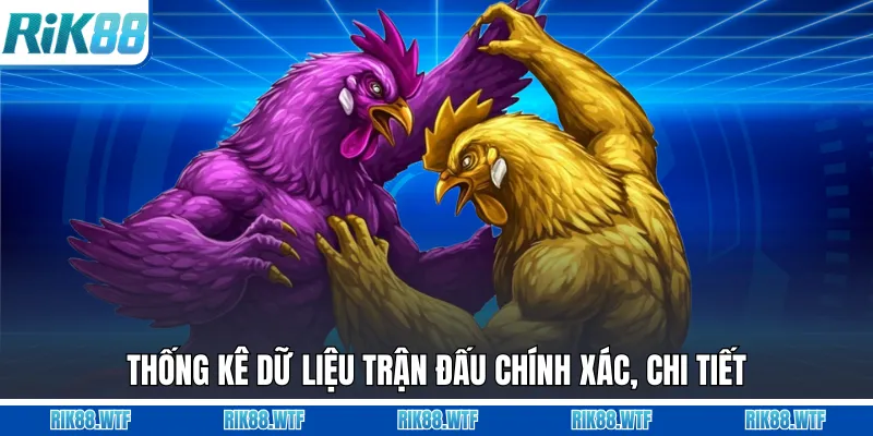 Thống kê dữ liệu trận đấu chính xác, chi tiết